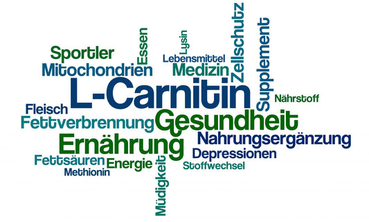L-Carnitin ist ein essentieller Co-Faktor für den Fettstoffwechsel und somit unersetzlich für die Energiegewinnung, besonders in den Herz- und Skelettmuskelzellen.