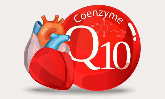 Q10 und Cholesterinsenker = Statine, das sollten Sie wissen